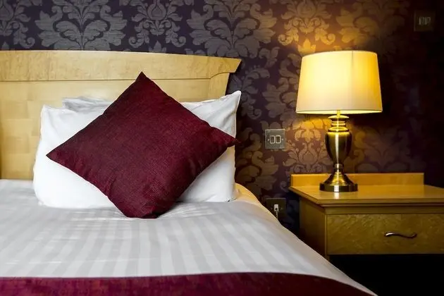 Superior Tek Büyük Yataklı Oda