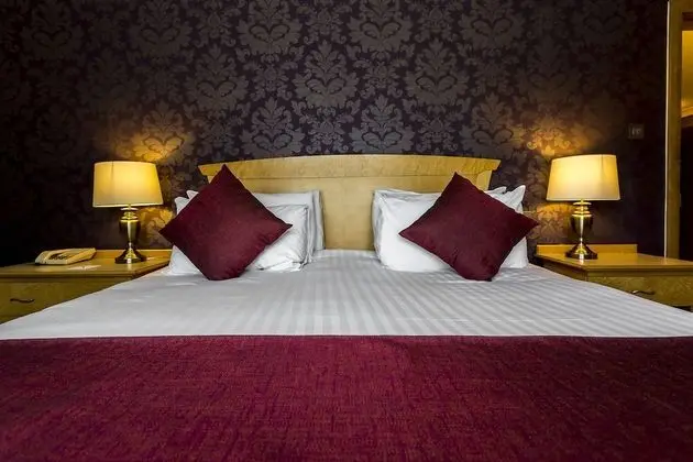 Superior Tek Büyük Yataklı Oda