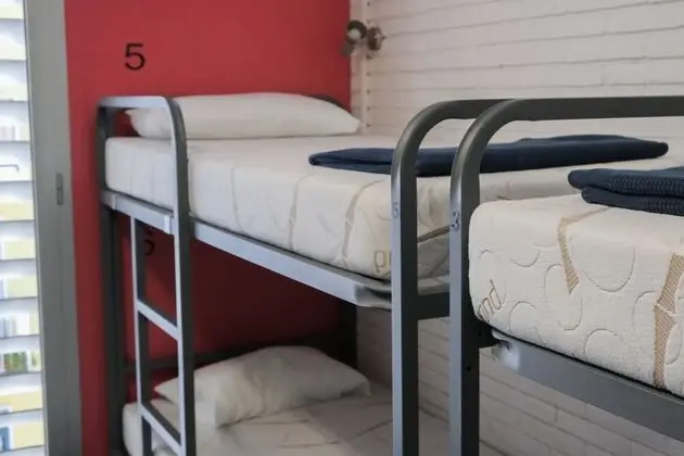 Standard Ortak Ranzalı Oda, Karma Ranzalı Oda, Ortak Banyo (1 bed in 4-beds shared bedroom)