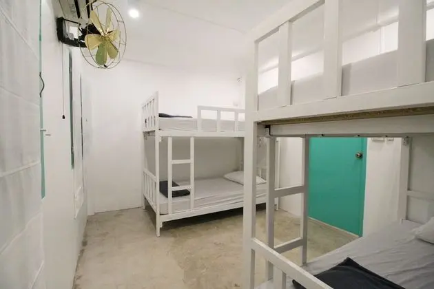4-Bed Dormitory with Shared Bathroom