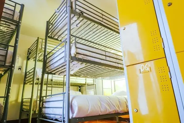 Standard Ortak Ranzalı Oda, Ortak Banyo (1 bed in a mixed shared dormitory)