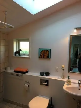 Basic Tek Büyük veya İki Ayrı Yataklı Oda, Teras