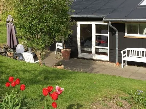 Basic Tek Büyük veya İki Ayrı Yataklı Oda, Teras