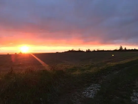 Basic Tek Büyük Yataklı Oda, Teras