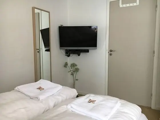 Business Tek Büyük veya İki Ayrı Yataklı Oda, Ortak Banyo