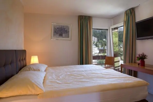 Executive Tek Büyük Yataklı Oda, Balkon, Dağ Manzaralı
