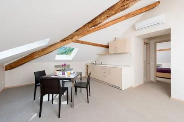 Apart Daire, 1 Yatak Odası (Attic)