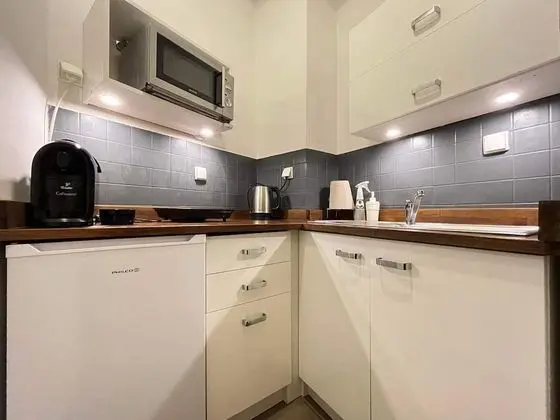 Standard Apart Daire, 1 Yatak Odası, Sigara İçilmez, Mutfak