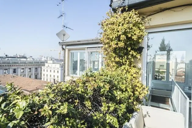 Çatı Katı Süiti (Penthouse)