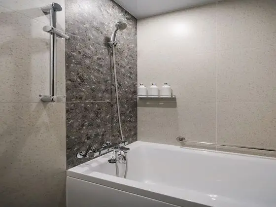 Standard Tek Büyük Yataklı Oda, Sigara İçilmez (with separated bath and toilet)