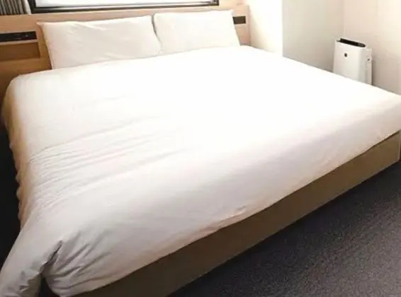 Tek Büyük Yataklı Oda, Sigara İçilmez (with LG Styler, Corner)