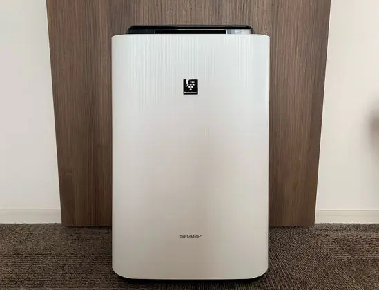 Tek Büyük Yataklı Oda, Sigara İçilmez (with LG Styler, Corner)