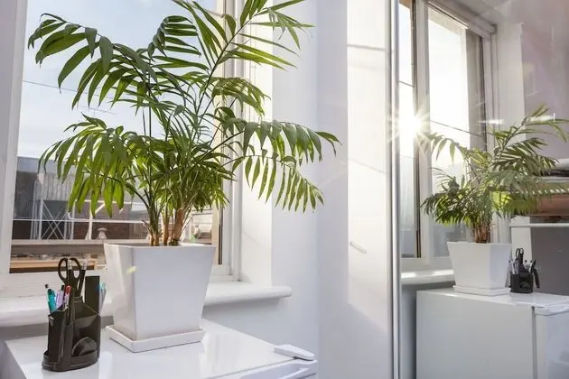 Basic Stüdyo, Özel Banyo