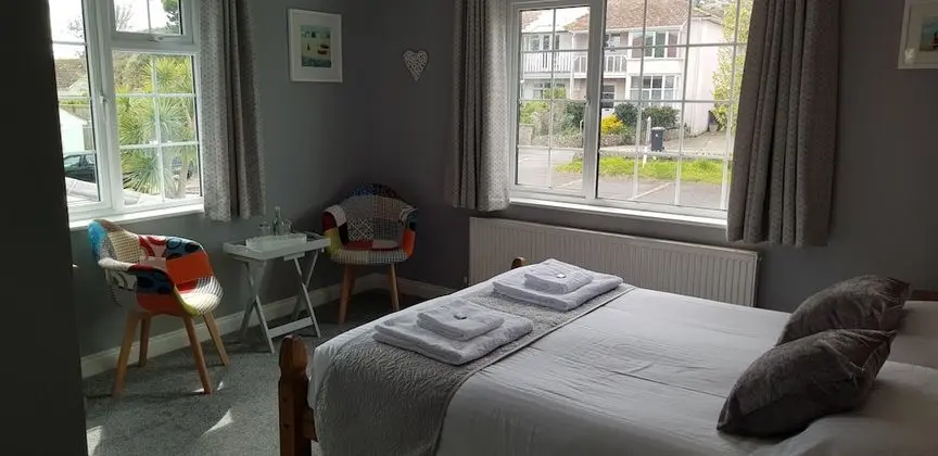 Premium Tek Büyük Yataklı Oda, Banyolu/Duşlu (Kingsize)