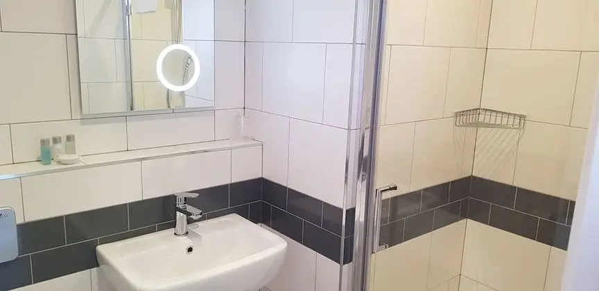 Premium Tek Büyük Yataklı Oda, Banyolu/Duşlu (Kingsize)