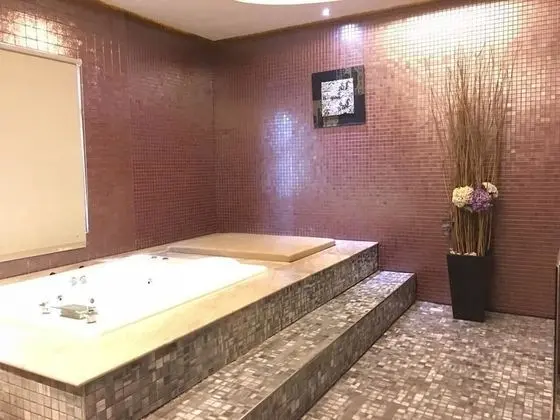 Tek Büyük Yataklı Oda, Sigara İçilmez (D)