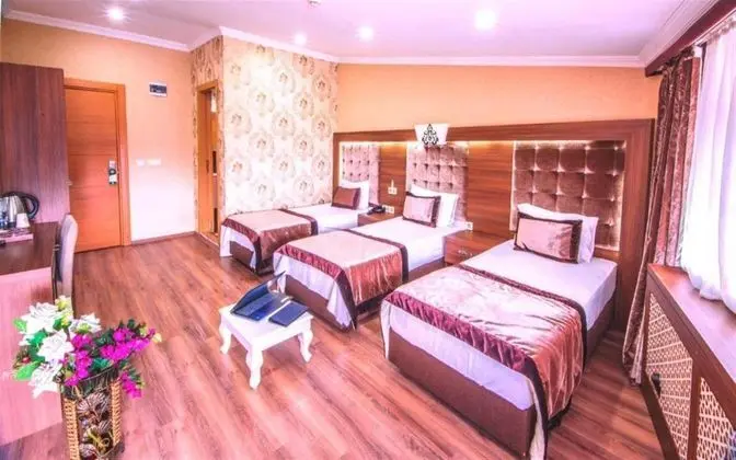 Standart Üç Kişilik Oda, Şehir Manzaralı, Balkonlu