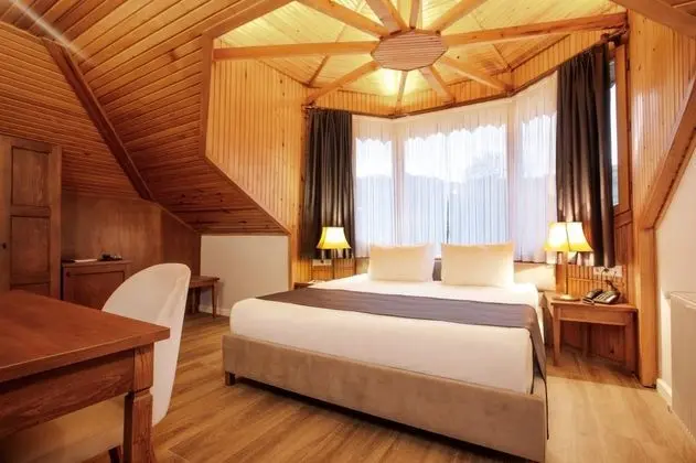 Deluxe Roof Oda, Dağ Manzaralı, Klimalı