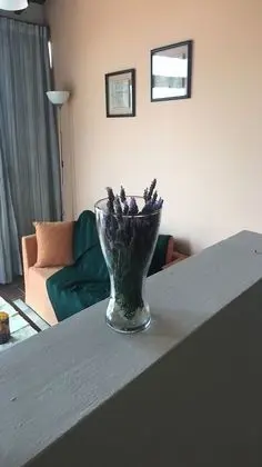 Apart Daire, 1 Yatak Odası, Balkon
