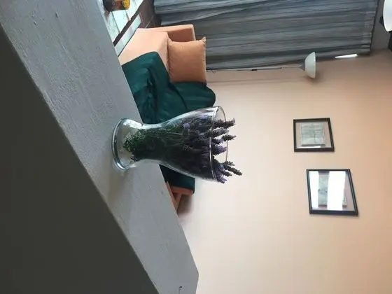 Apart Daire, 1 Yatak Odası, Balkon