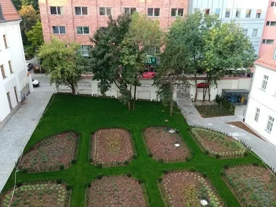Superior Tek Büyük Yataklı Oda