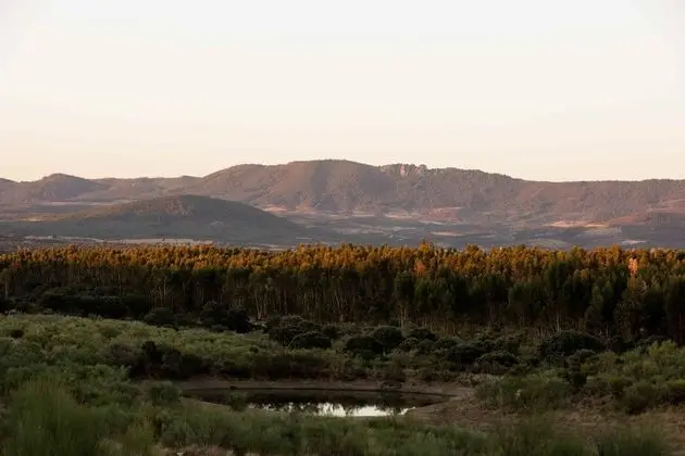 Deluxe Dört Kişilik Oda, 2 Yatak Odası, Veranda, Bahçe Manzaralı