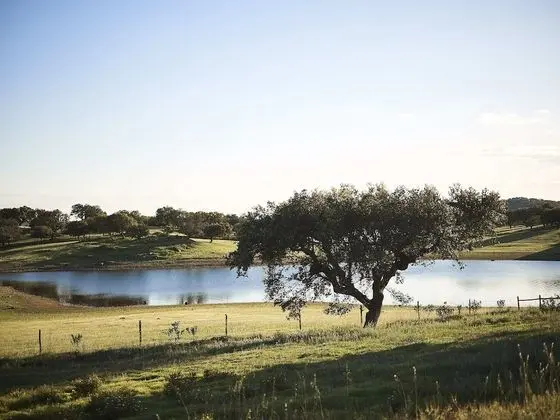 Apart Daire, 2 Yatak Odası, Zemin Kat