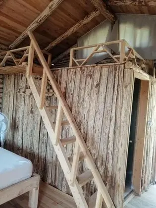 https://images.odamax.com/img/1920x1080/odamax/image/upload/Heredot_s_House_202607100212132_Adssas_z.jpg