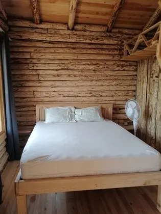 Traditional Ağaç Ev