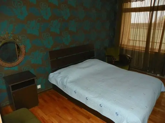 Standard Tek Kişilik Oda, Balkon, Şehir Manzaralı