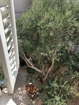 Penthouse Suite, Spa Bath