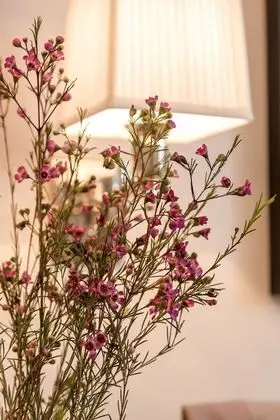 Tek Büyük Yataklı Oda, Balkon