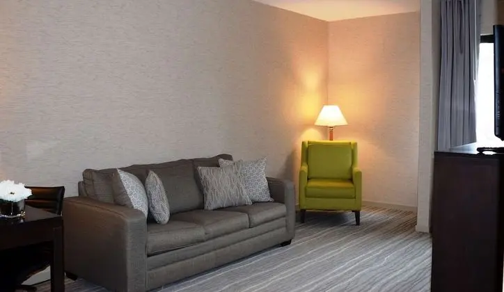 Süit, 1 En Büyük (King) Boy Yatak, Sigara İçilmez, Buzdolabı ve Mikrodalga (with Sofabed)