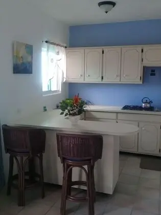Süit, 1 Yatak Odası, Balkon, Okyanus Manzaralı