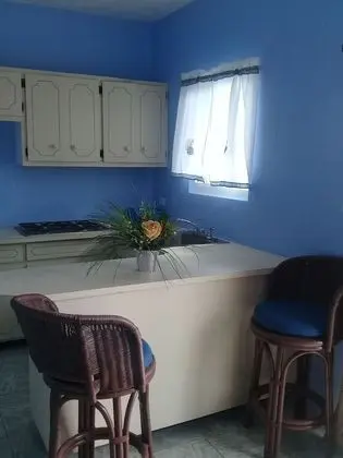Süit, 1 Yatak Odası, Balkon, Okyanus Manzaralı