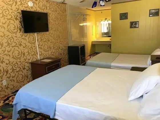 Standard Tek Büyük Yataklı Oda, 2 Çift Kişilik Yatak