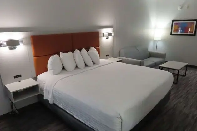 Standard Oda, 1 En Büyük (King) Boy Yatak, Engellilere Uygun, Buzdolabı ve Mikrodalga (with Sofabed)