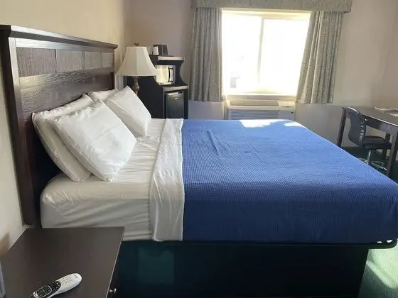 Deluxe Oda, 1 En Büyük (King) Boy Yatak