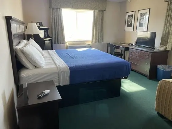 Deluxe Oda, 1 En Büyük (King) Boy Yatak