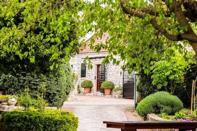 Classic Süit, 1 Yatak Odası