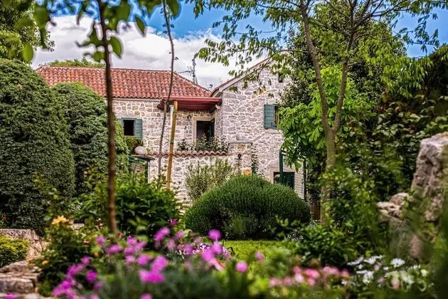 Family Süit, 2 Yatak Odası