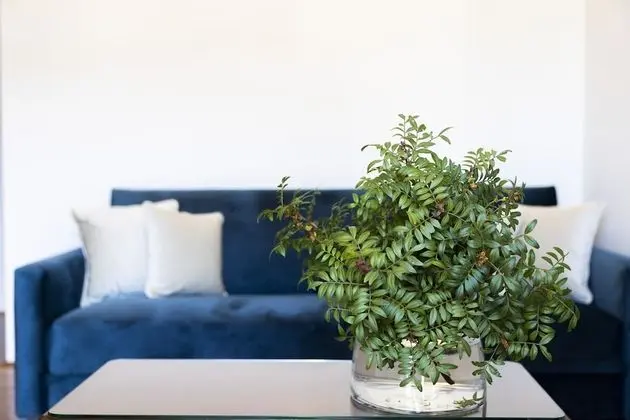 Junior Süit, Balkon, Deniz Manzaralı