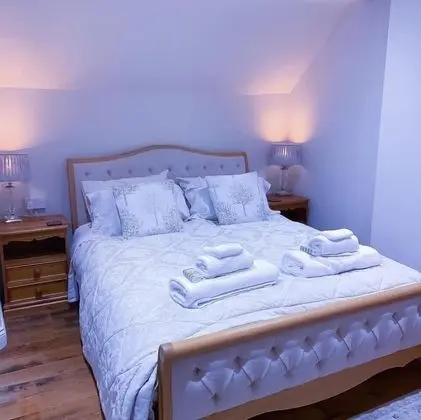 Luxury Tek Büyük Yataklı Oda, Banyolu/Duşlu (River View)