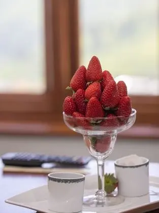 Junior Stüdyo Süit