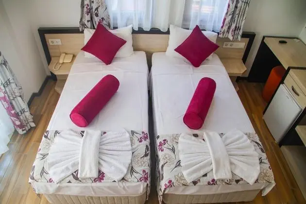 Standart Twin Oda, Bahçe veya Sokak Manzaralı, Balkonlu