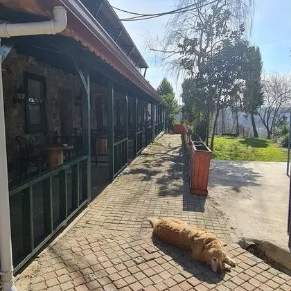 Teraslı Oda - Bahçe Manzaralı