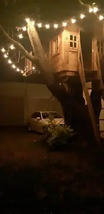 Comfort Ev, 3 Yatak Odası, Havuz Manzaralı