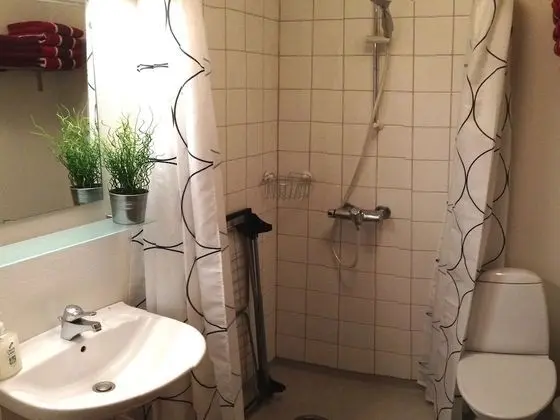 Apart Daire, 1 Yatak Odası, Mutfak