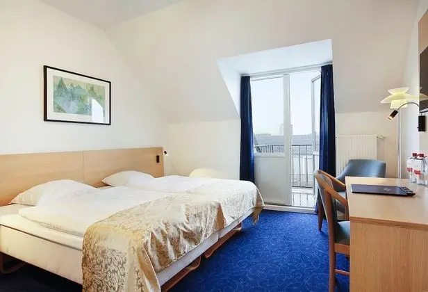 Tek Büyük Yataklı Oda, Balkon, Şehir Manzaralı