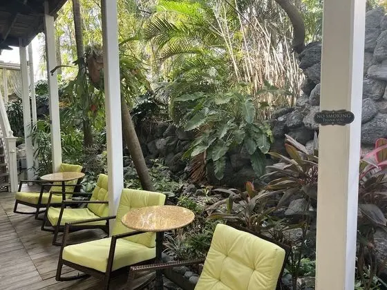 Tropical King